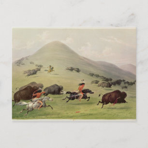 Buffalo Hunt, 1832 Vykort