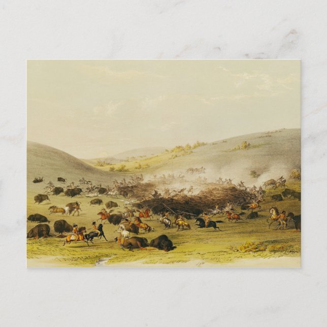 Buffalo Hunt, Surround, 1832 Vykort (Framsida)