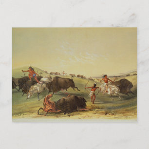 Buffalo Hunt Vykort