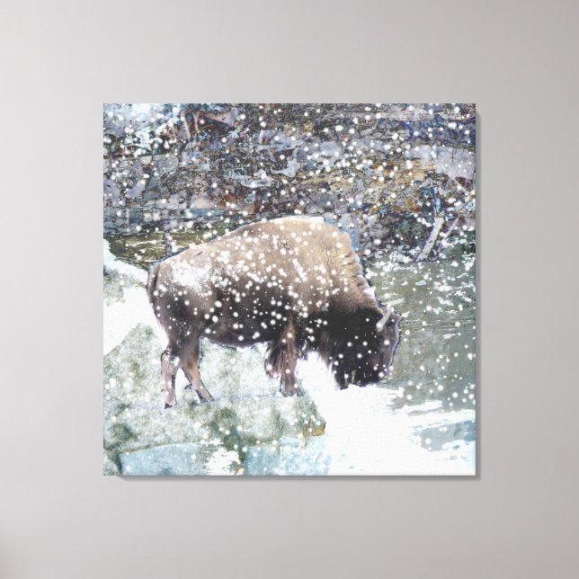 Buffalo i Snö Storm Wrapped Canvas Skriv ut (Framsida)