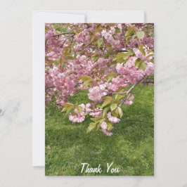 Buffalo Japanska Gardens Blommar för Rosa Cherry Tack Kort