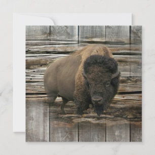Buffalo Kort