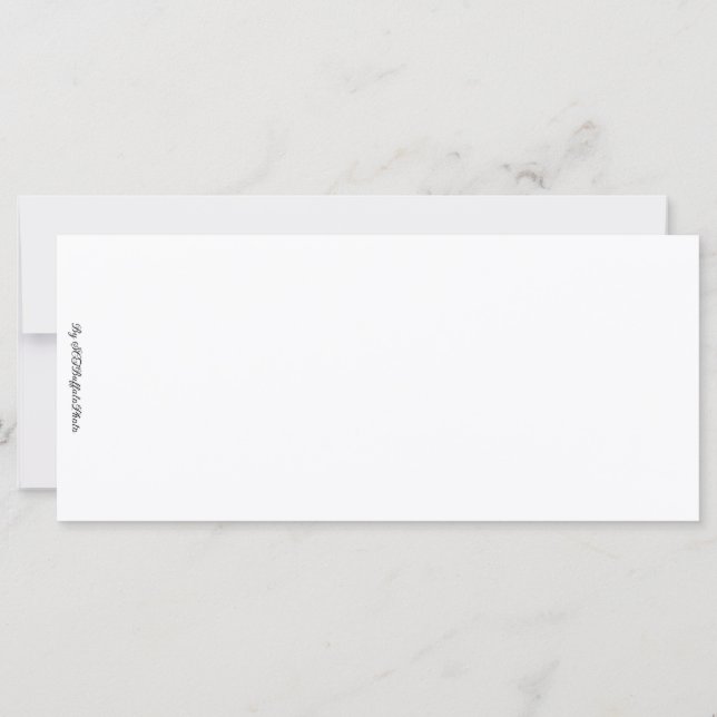 Buffalo Lighthouse och Sunbeams (Baksida)