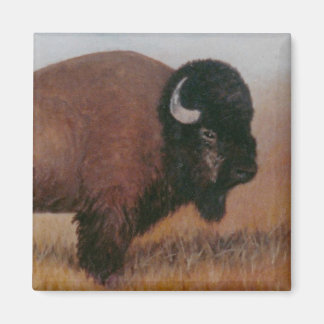 Buffalo Magnet