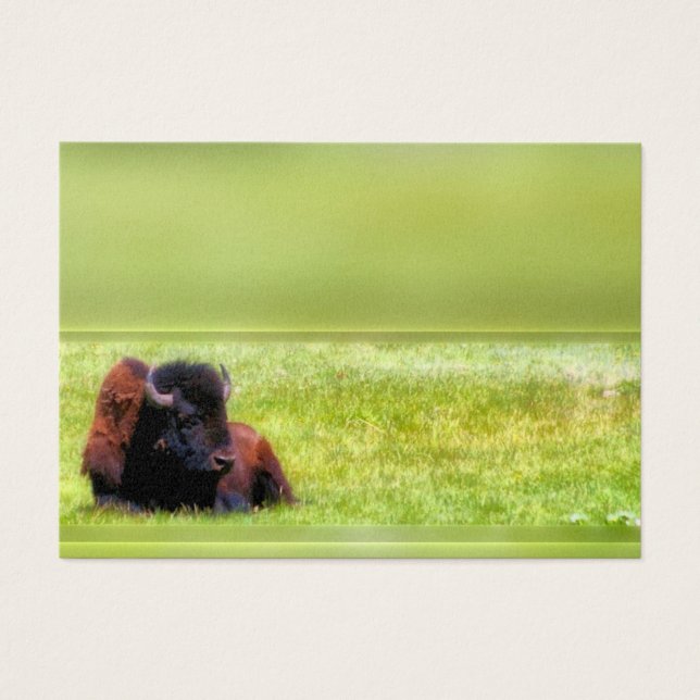 Buffalo Meadow Visitkort (Framsidan)