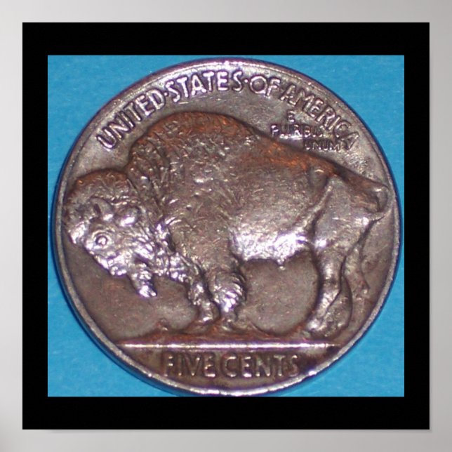 BUFFALO NICKLE POSTER (Framsidan)