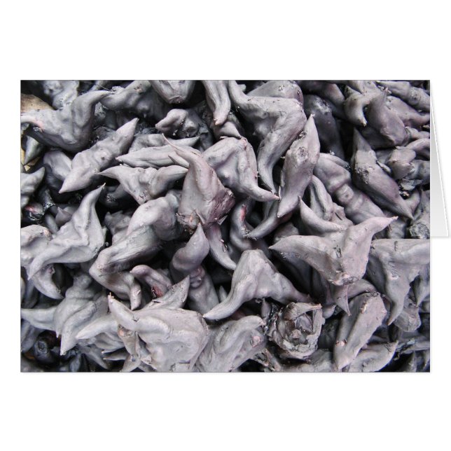 Buffalo Nöt - Vatten Caltrop Card Hälsningskort (Framsidan Horizontal)