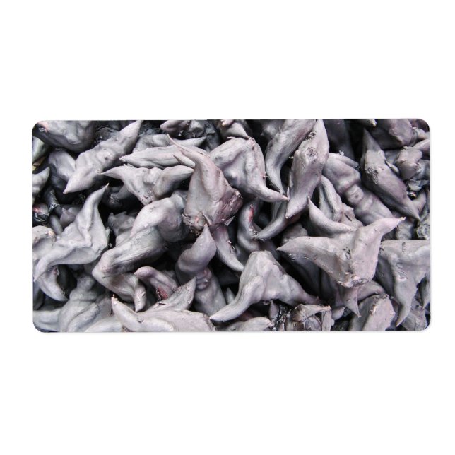 Buffalo Nöt - Vatten Caltrop Fraktsedel (Framsidan)