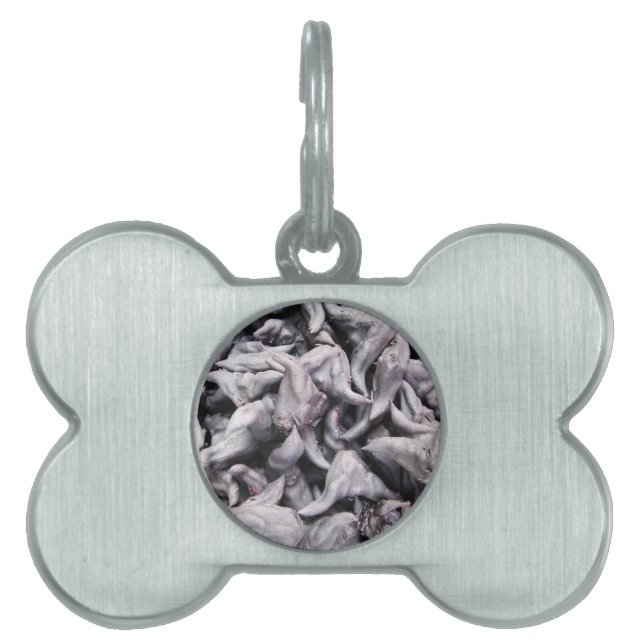Buffalo Nöt - Vatten Caltrop ID-bricka Husdjur (Framsidan)