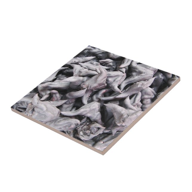 Buffalo Nöt - Vatten Caltrop Kakelplatta (Sidan)