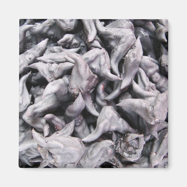 Buffalo Nöt - Vatten Caltrop Magnet (Framsidan)