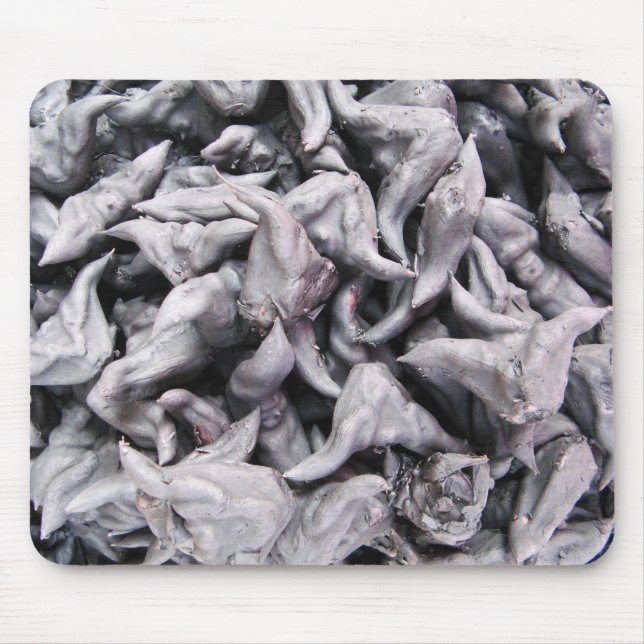 Buffalo Nöt - Vatten Caltrop Musmatta (Framsidan)