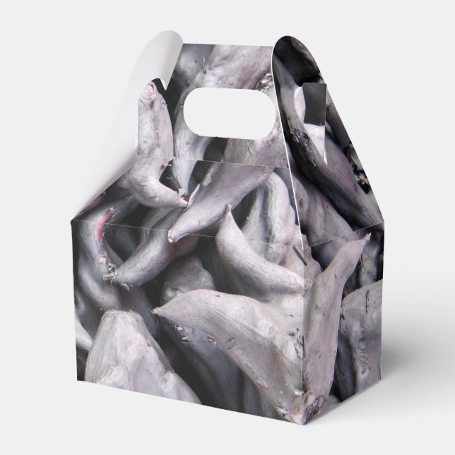 Buffalo Nöt - Vatten Caltrop Presentaskar (Framsidan Sidan)