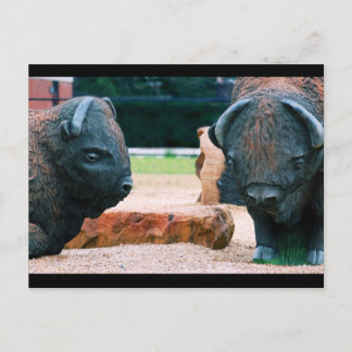 Buffalo NY Vykort