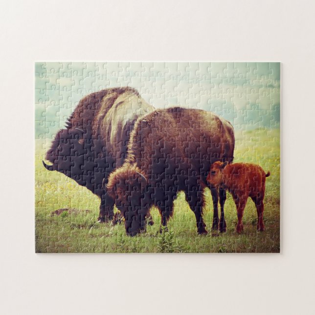 Buffalo och Calf Oklahoma. Pussel (Horisontell)