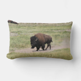 Buffalo på resande fot, fotografi lumbarkudde