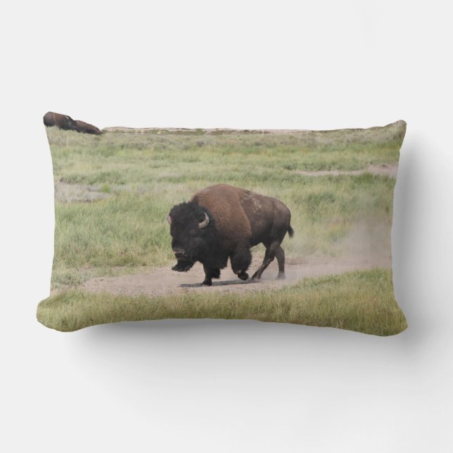 Buffalo på resande fot, fotografi lumbarkudde (Framsida)
