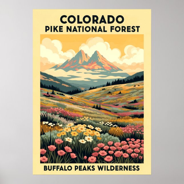 Buffalo Peaks Wilderness V01 Poster (Framsidan)