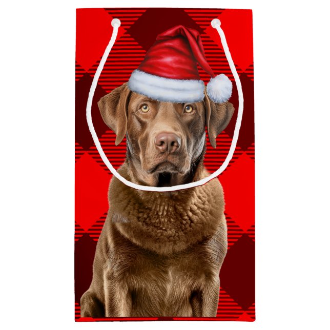 Buffalo Play Chesapeake Bay-Hund (Baksidan)