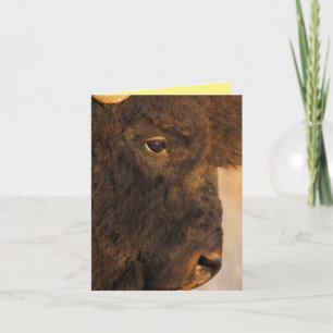 Buffalo-profil Kort