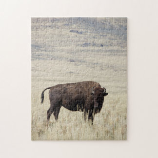 Buffalo Puzzon Pussel