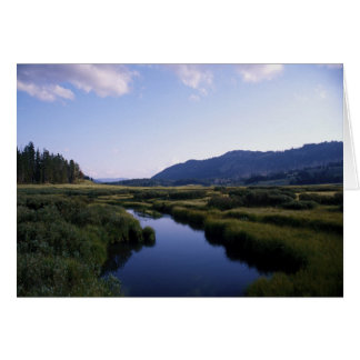 Buffalo River, North Fork Wy. Hälsningskort