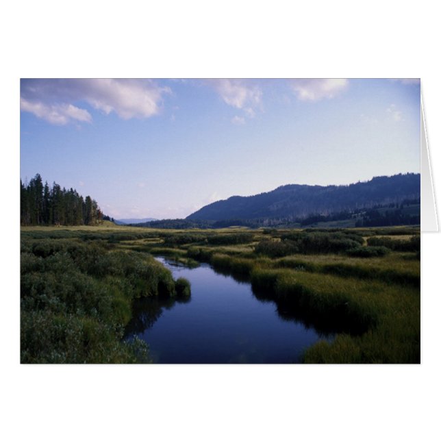 Buffalo River, North Fork Wy. Hälsningskort (Framsidan Horizontal)