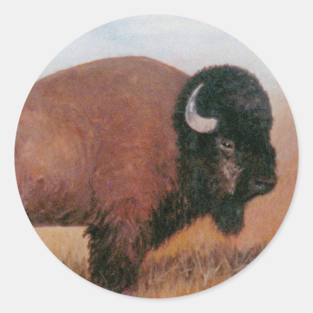 Buffalo Runt Klistermärke (Framsida)