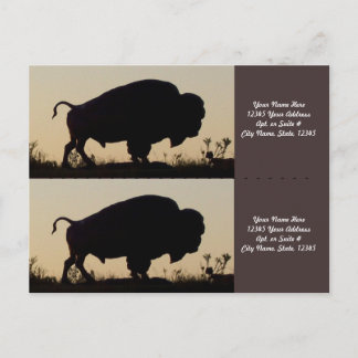 Buffalo Silhouette Bookmarkers Vykort
