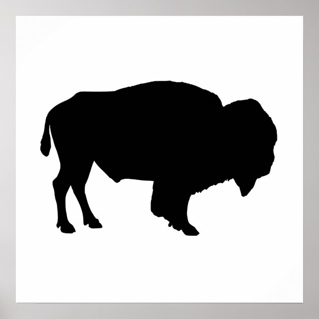 Buffalo Silhouette Poster (Framsidan)