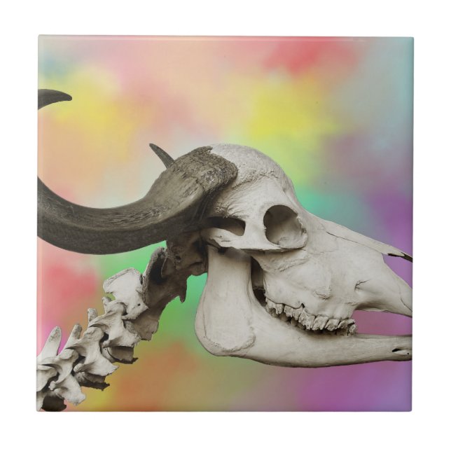Buffalo Skull på vattenfärgens bakgrund Kakelplatta (Framsidan)