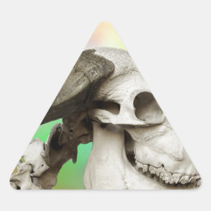 Buffalo Skull på vattenfärgens bakgrund Triangelformat Klistermärke