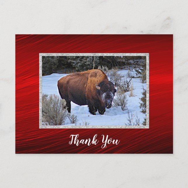 Buffalo Snow Foto Tack Vykort (Framsida)