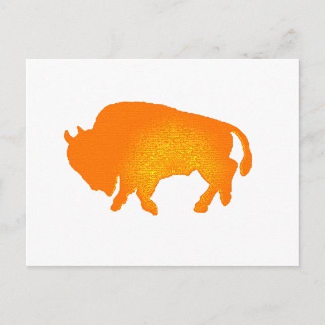 Buffalo Sol Vykort (Framsida)