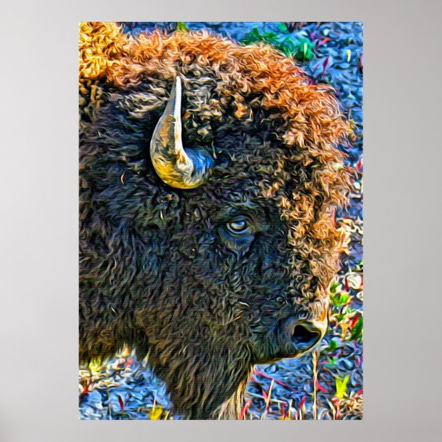 Buffalo Soul Poster (Framsidan)