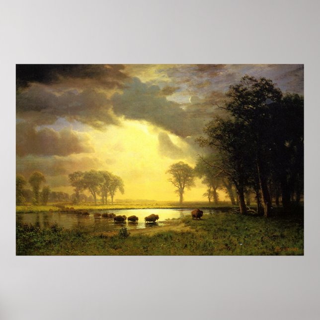 Buffalo-spåret Poster (Framsidan)