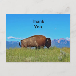 Buffalo Tacksamhets vykort