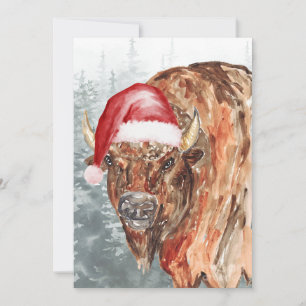 Buffalo Tomte Julkort