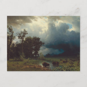 Buffalo Trail: The Impending Storm Vykort