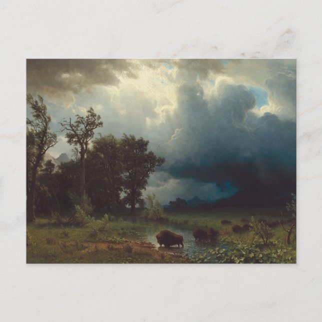 Buffalo Trail: The Impending Storm Vykort (Framsida)
