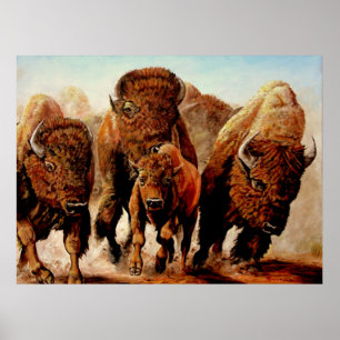 Buffalo "vid Springa" Poster
