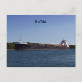 Buffalo-vykort Vykort