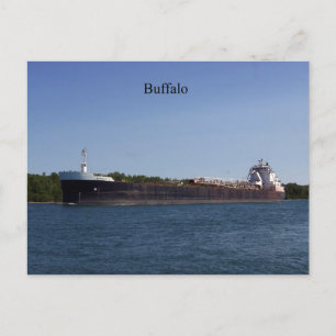 Buffalo-vykort Vykort