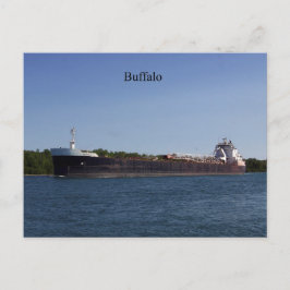Buffalo-vykort Vykort