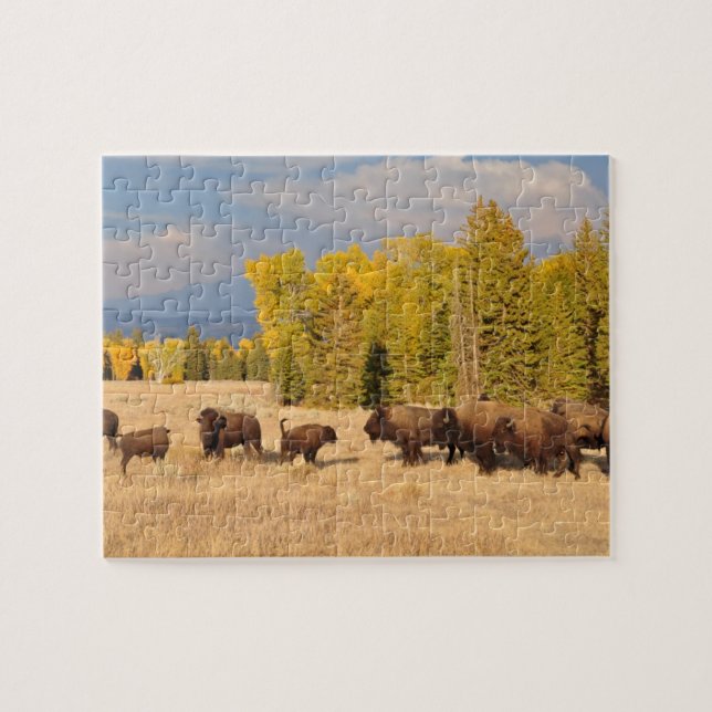 Buffalo Wyoming Pussel (Horisontell)