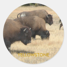 Buffalo Yellowstone Sticker Runt Klistermärke