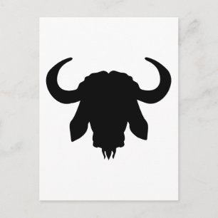 Buffalobörhorn Vykort