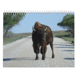 Buffaloed! Kalender