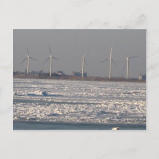 Buffalos vind, NY Vykort