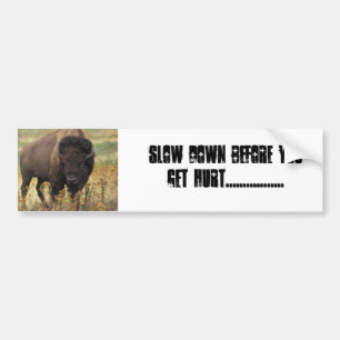 BUFFEL BILDEKAL